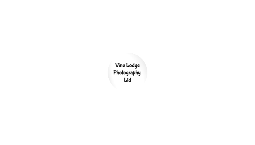 Label Image