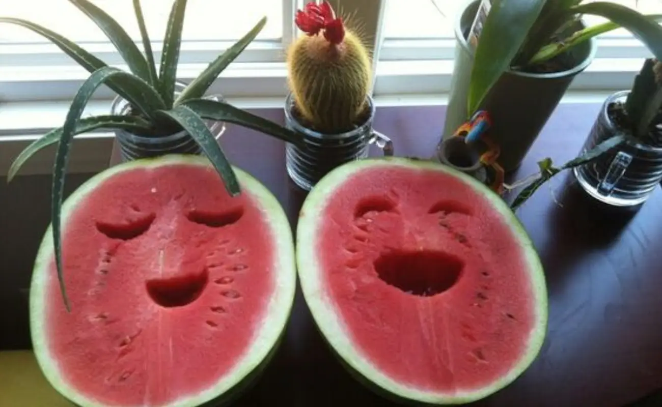 Would you Eat a Watermelon that Smiled at You?