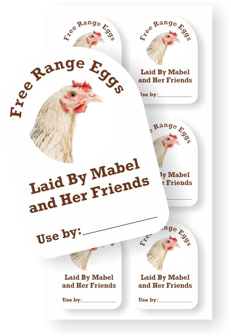Egg box labels with photo of hen on